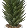 Havertys Agave Sisalana II Succulent Online