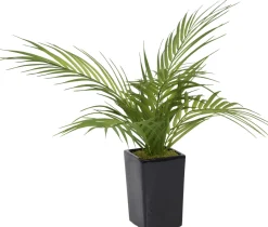 Havertys Areca Palm II Floral Discount