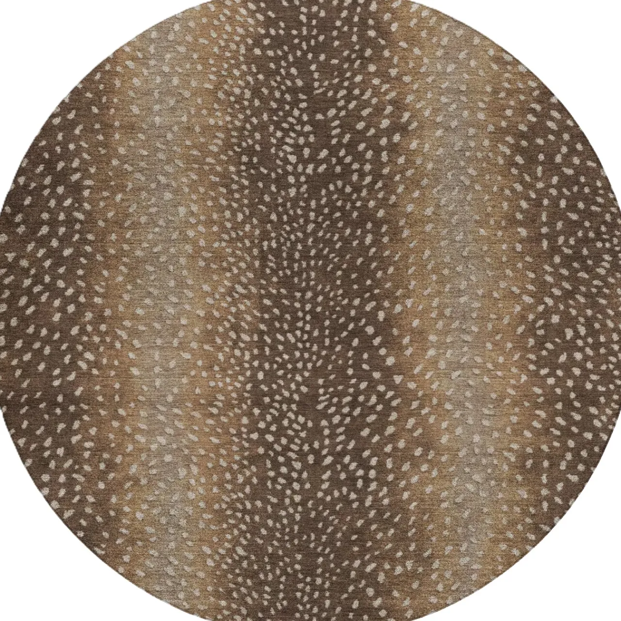 Havertys Axis Rug Online
