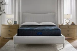 Havertys Bailey Creek 2.0 Medium Firm Mattress Sale