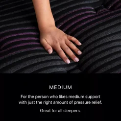 Havertys Beautyrest Black Quilted Series 2 Medium Mattress Best