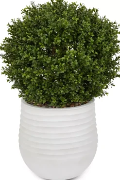 Havertys Boxwood Ball Greenery Clearance
