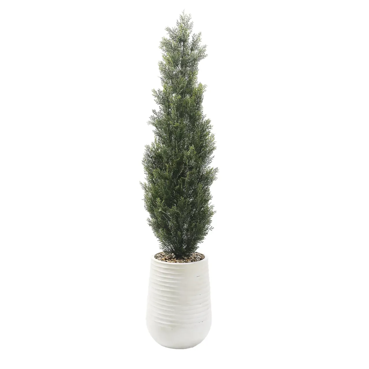 Havertys Cedar Tree