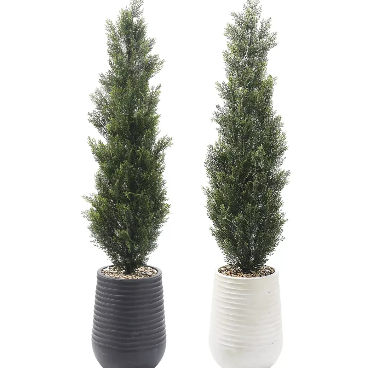 Havertys Cedar Tree