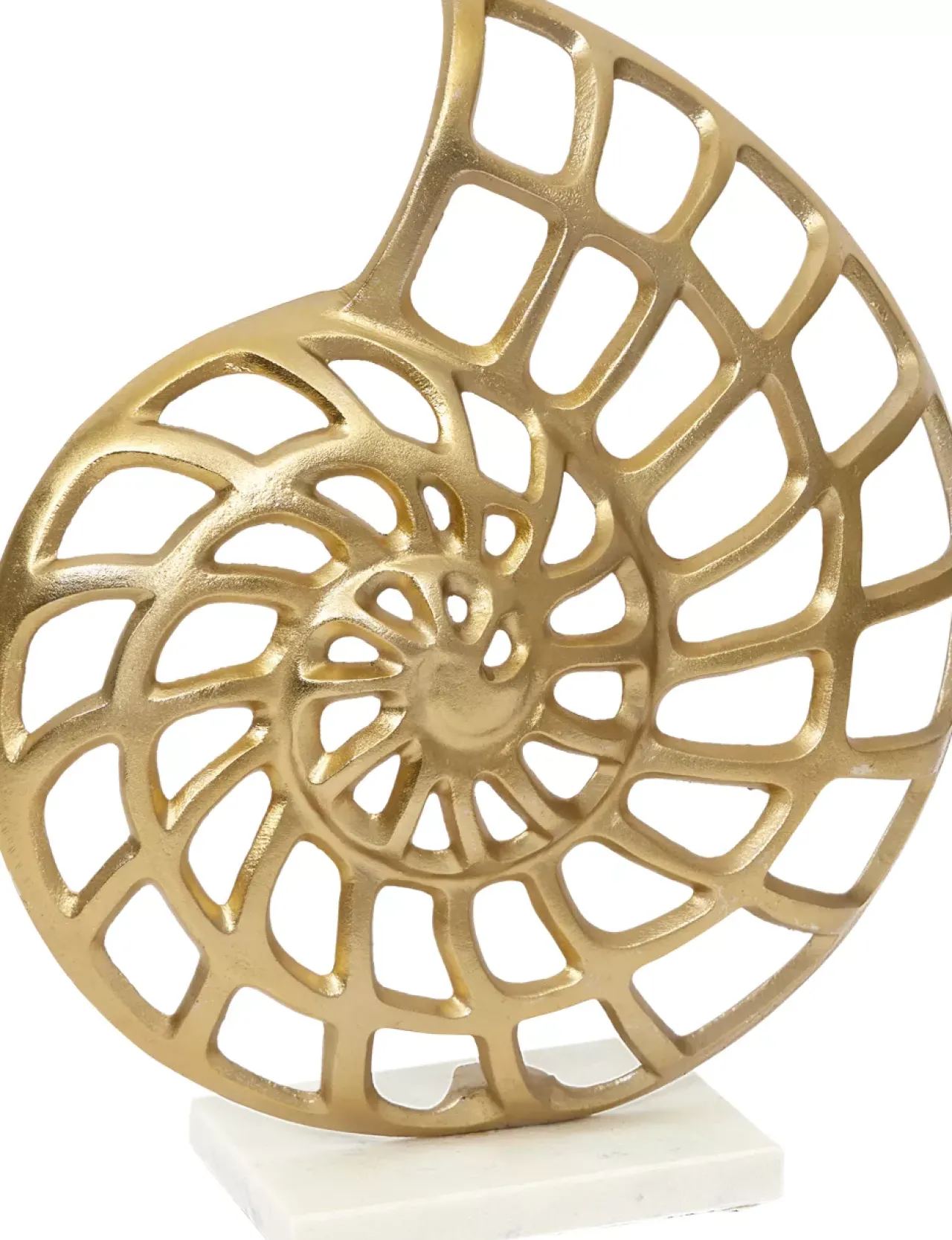 Havertys Conch Sculpture Gold Online