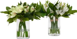 Havertys Cymbidium Floral Sale