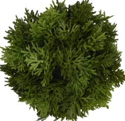 Havertys Cypress Greenery New