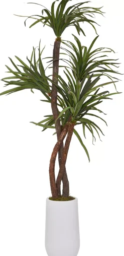 Havertys Dracaena Tree Clearance
