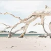 Havertys Driftwood Sands Wall Decor Online