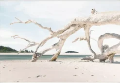 Havertys Driftwood Sands Wall Decor Online