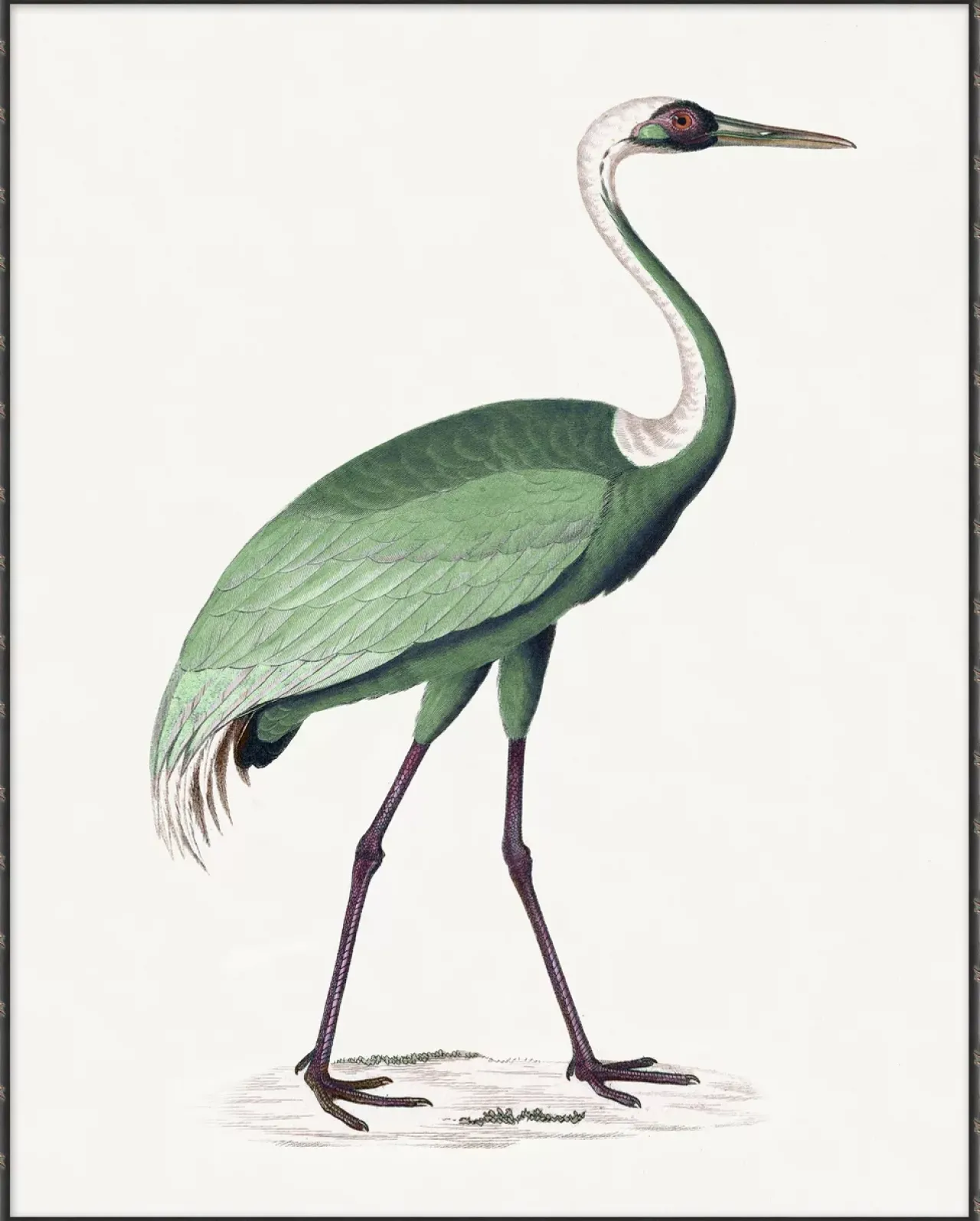 Havertys Emerald Wings Wall Art Hot