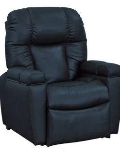 Havertys Ethan Power Lift Recliner Clearance