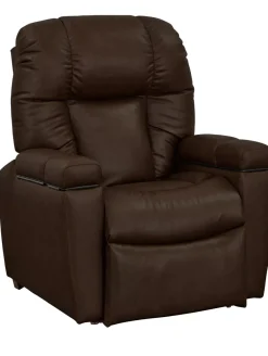 Havertys Ethan Power Lift Recliner with Infrared Heat Clearance