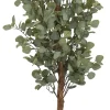Havertys Eucalyptus Tree Best