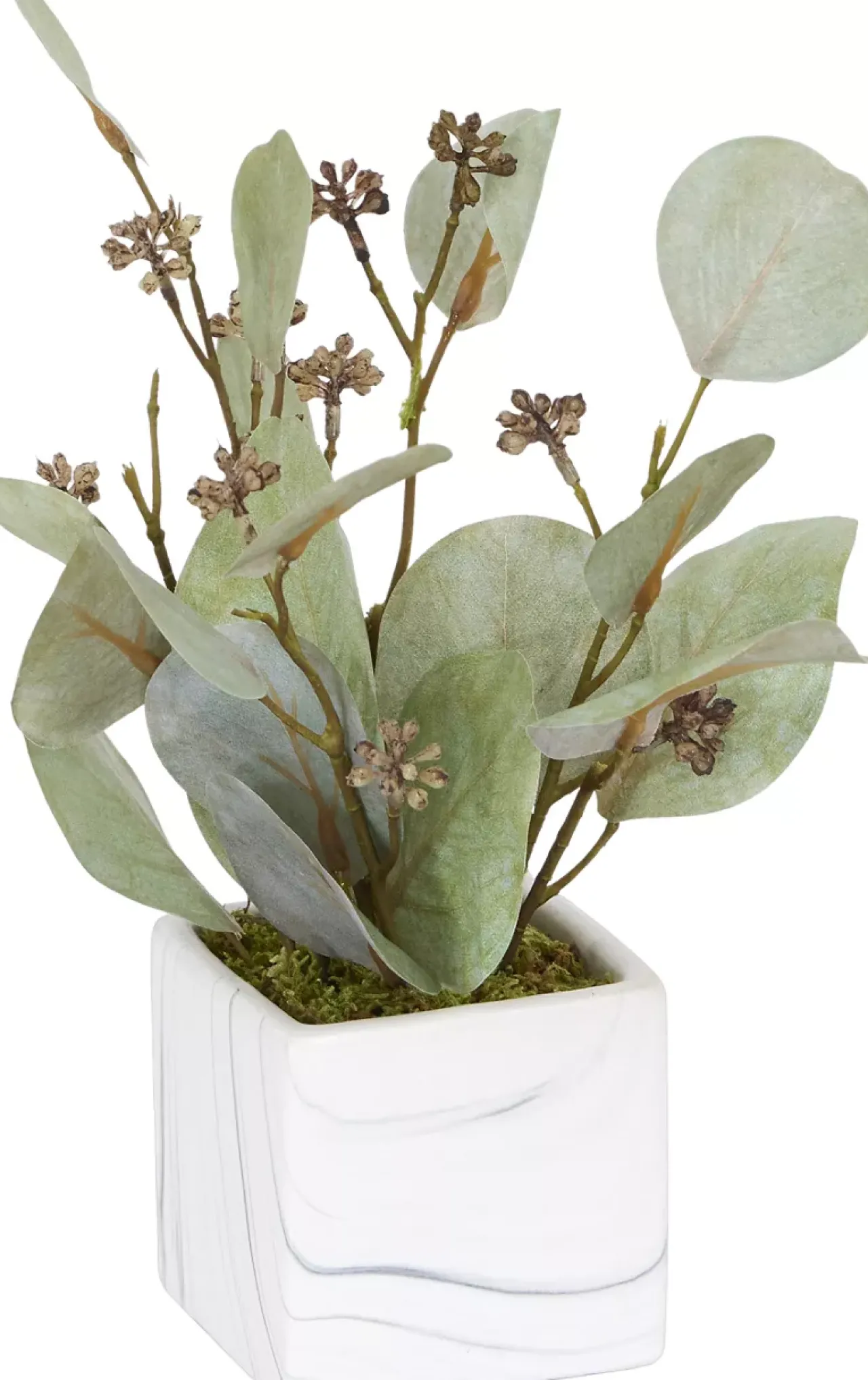 Havertys Eucalyptus V Floral Best