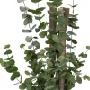 Havertys Eucalyptus Wood Greenery Best