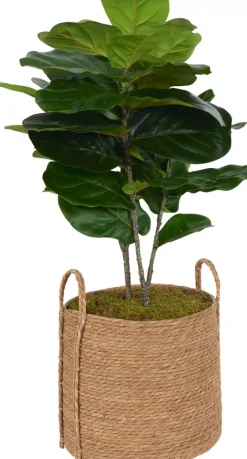 Havertys Fiddle Leaf IV Tree Hot