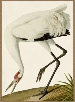Havertys Grand Blue Heron Framed Art New