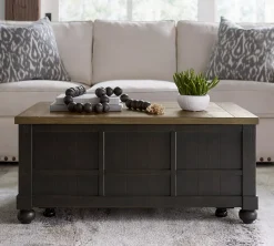 Havertys Harrington Trunk Dusty Taupe and Black Outlet