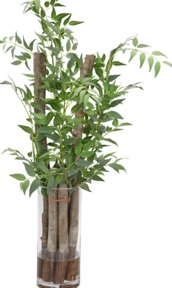Havertys Italian Ruscus Greenery Sale