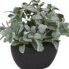 Havertys Lamb's Ear IV Greenery Hot