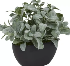 Havertys Lamb's Ear IV Greenery Hot