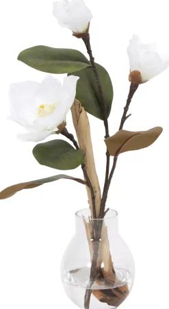 Havertys Magnolia Ghostwood Floral Best