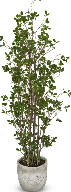 Havertys Mini Leaf Tree Online