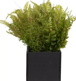 Havertys Mixed Fern Floral Hot