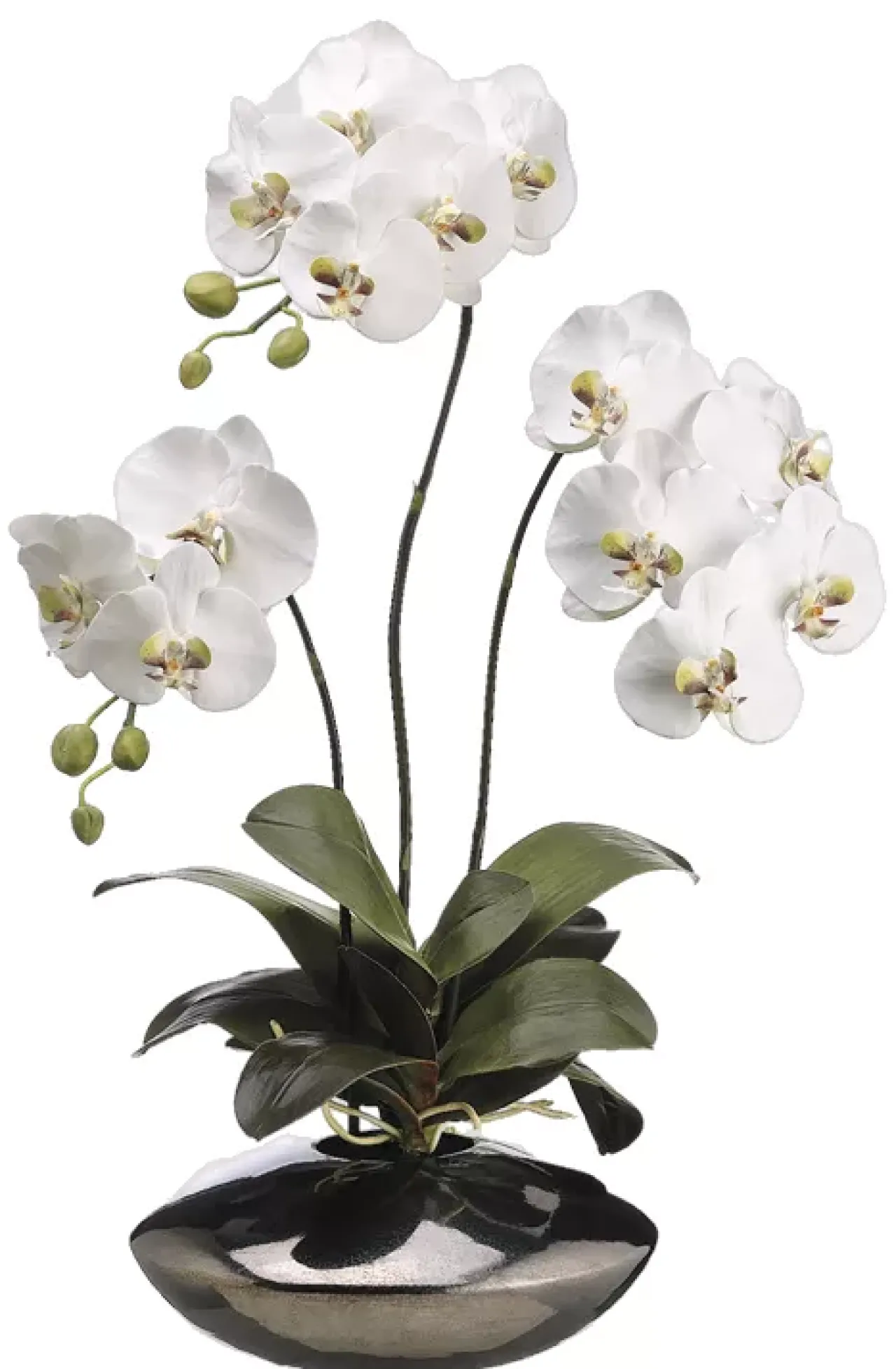 Havertys Moth Orchid Floral in Metallic Bowl Sale