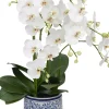 Havertys Moth Orchid II Floral Outlet