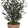Havertys Olive Spray II Greenery