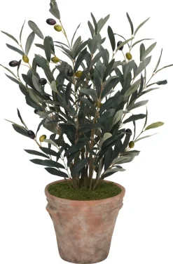 Havertys Olive Spray II Greenery