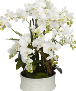 Havertys Orchid Floral Best