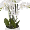 Havertys Orchid III Floral New