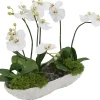 Havertys Orchid Skimmia Floral Clearance