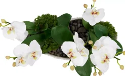 Havertys Orchid Skimmia Floral Clearance