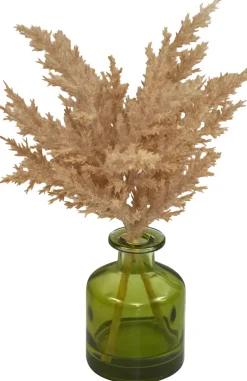 Havertys Pampas Grass Arrangement Outlet