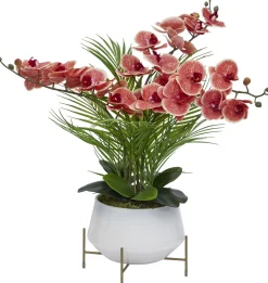 Havertys Phalaenopsis II Floral New