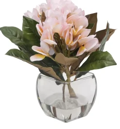 Havertys Plumeria Floral Online
