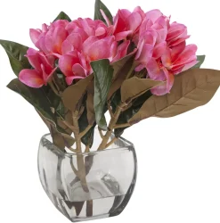 Havertys Plumeria Floral Online