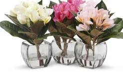 Havertys Plumeria Floral Online