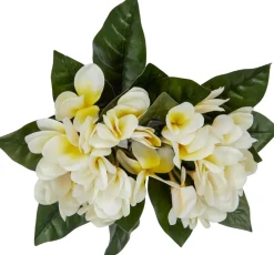 Havertys Plumeria Floral Online