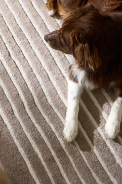 Havertys Rhonin Rug Discount