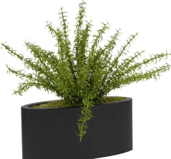 Havertys Rosemary Spray Floral Outlet