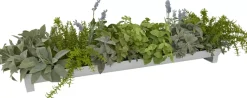 Havertys Sage Lavender Arrangement Online