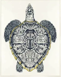 Havertys Sea Turtle Framed Art Discount