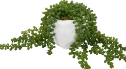 Havertys Sedum Spray Greenery Outlet