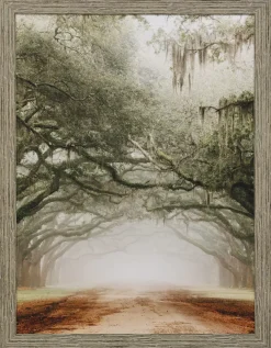 Havertys Southern Nostalgia Framed Art Hot