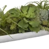 Havertys Succulent Boat Succulent